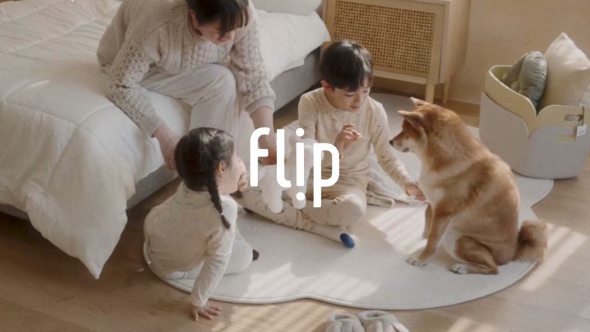 Flip